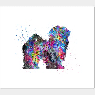 Lhasa Apso Posters and Art